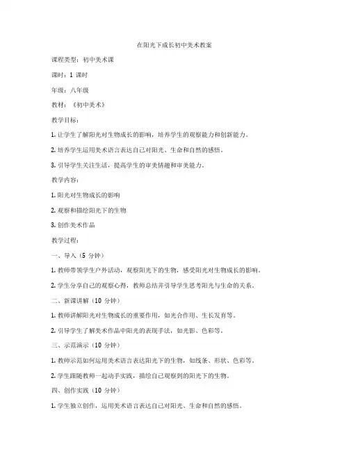 在阳光下成长初中美术教案