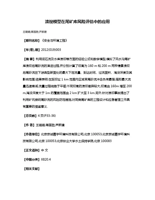 溃坝模型在尾矿库风险评估中的应用