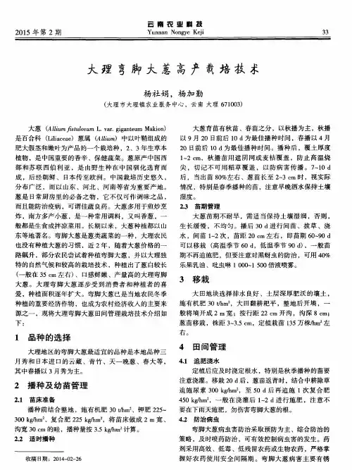 大理弯脚大葱高产栽培技术
