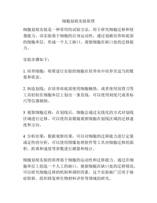 细胞划痕实验原理