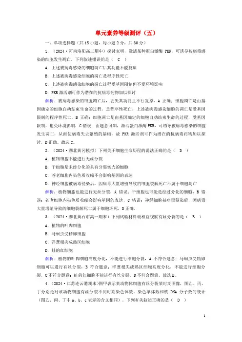 新教材2024年高中生物单元素养等级测评5新人教版必修1
