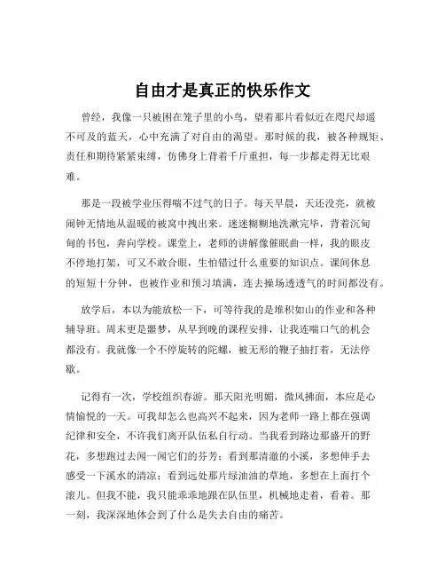 自由才是真正的快乐作文