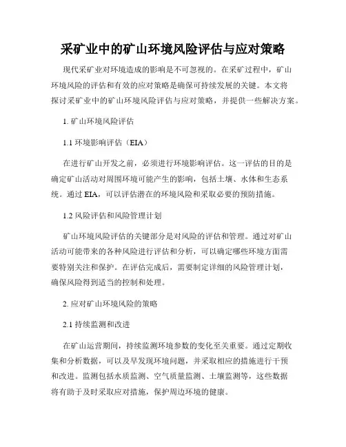 采矿业中的矿山环境风险评估与应对策略