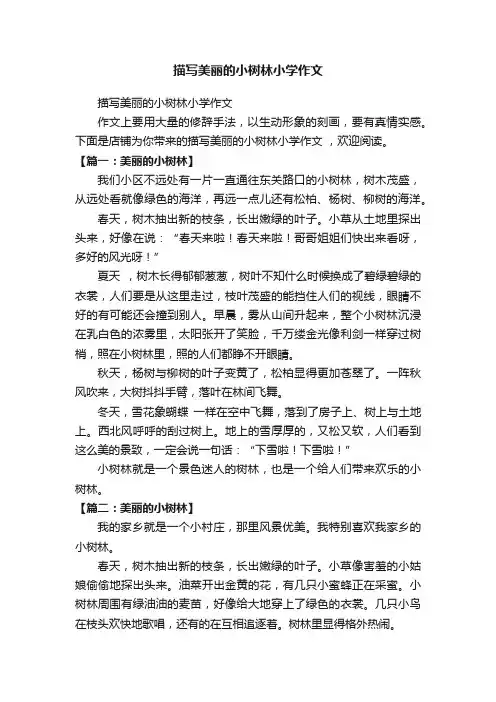 描写美丽的小树林小学作文
