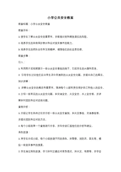 小学公共安全教案