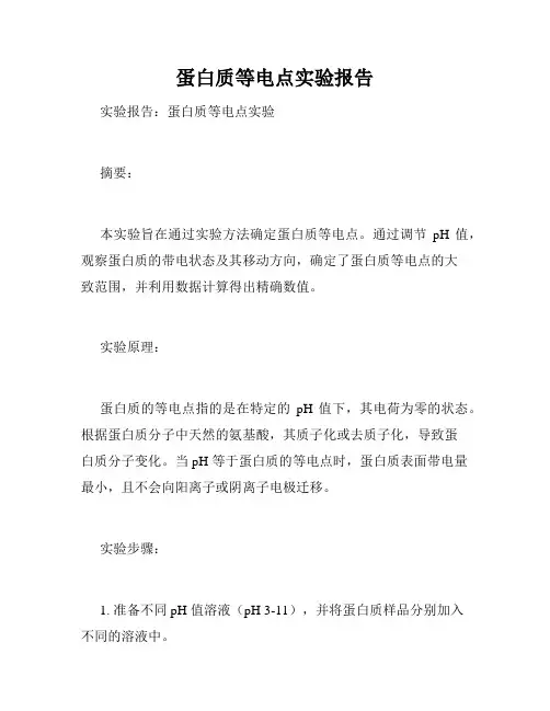 蛋白质等电点实验报告