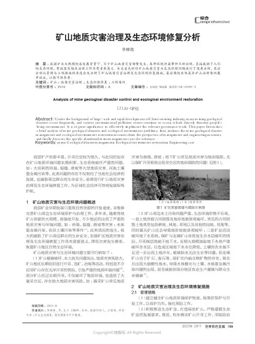 211274203_矿山地质灾害治理及生态环境修复分析