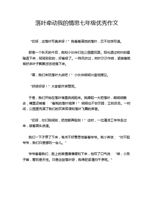 落叶牵动我的情思七年级优秀作文