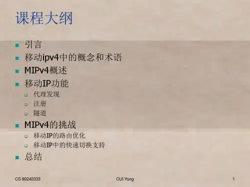无线移动互联网6 移动IPv6_1VF