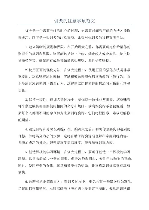 训犬的注意事项范文