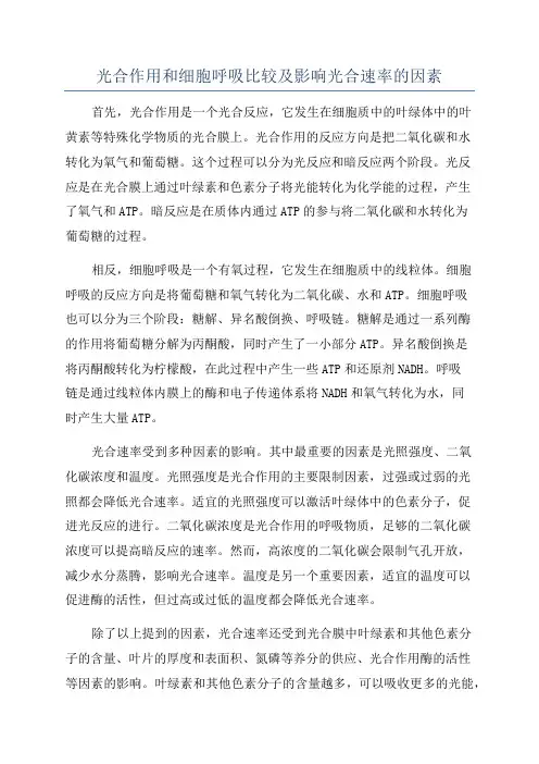 光合作用和细胞呼吸比较及影响光合速率的因素