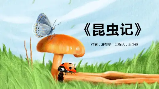 法布尔《昆虫记》PPT课件