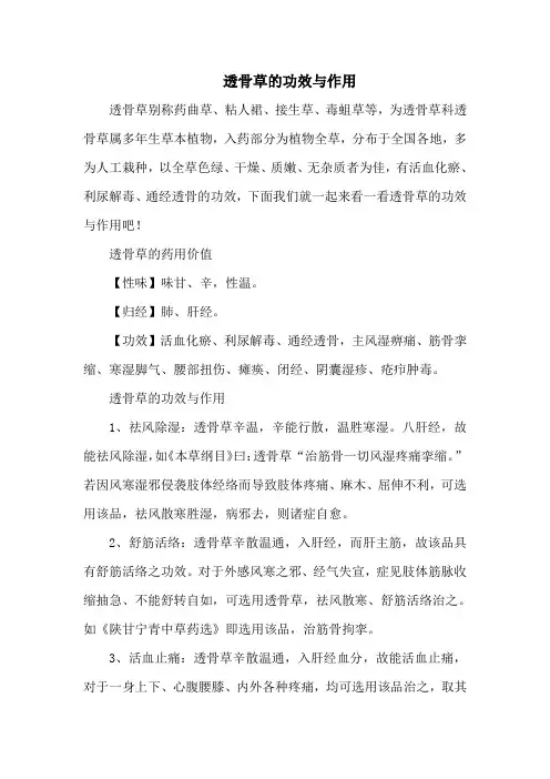 透骨草的功效与作用