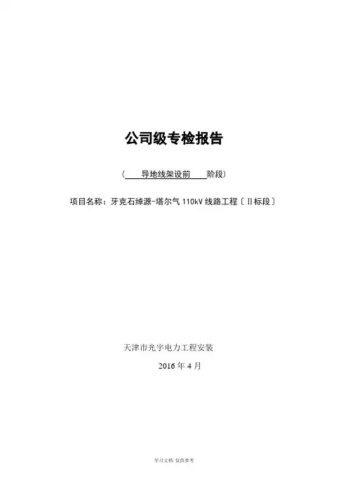 公司专检报告(导地线)