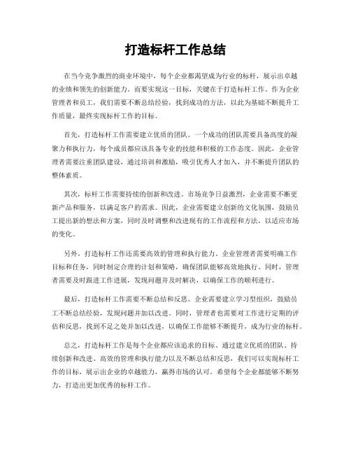 打造标杆工作总结