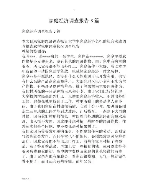 家庭经济调查报告3篇