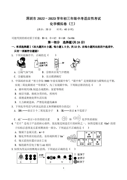 深圳市2022-2023学年初三年级中考适应性考试化学模拟试卷三