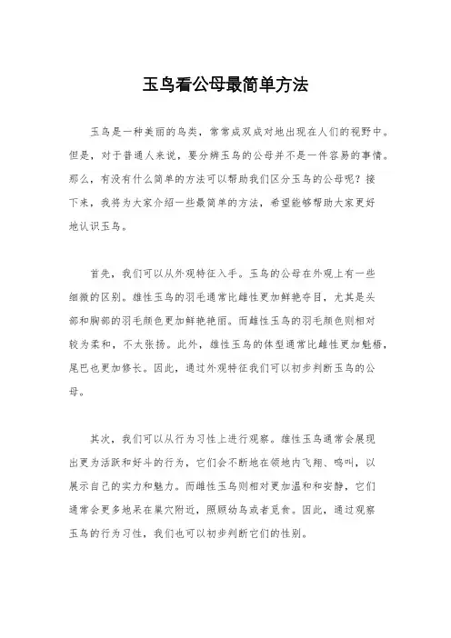 玉鸟看公母最简单方法