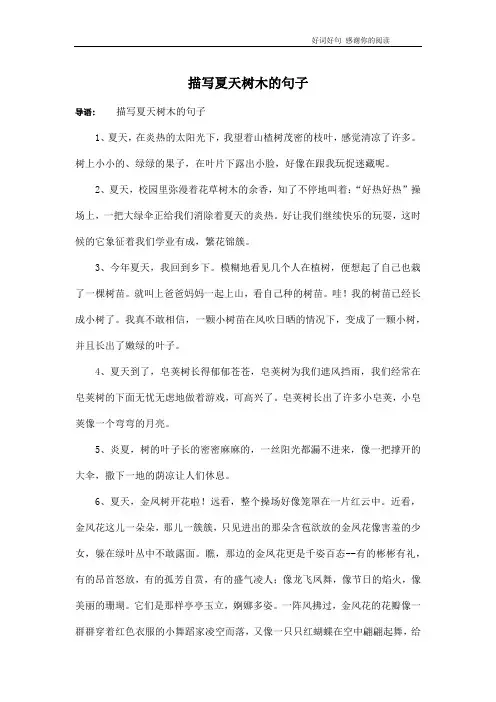 描写夏天树木的句子