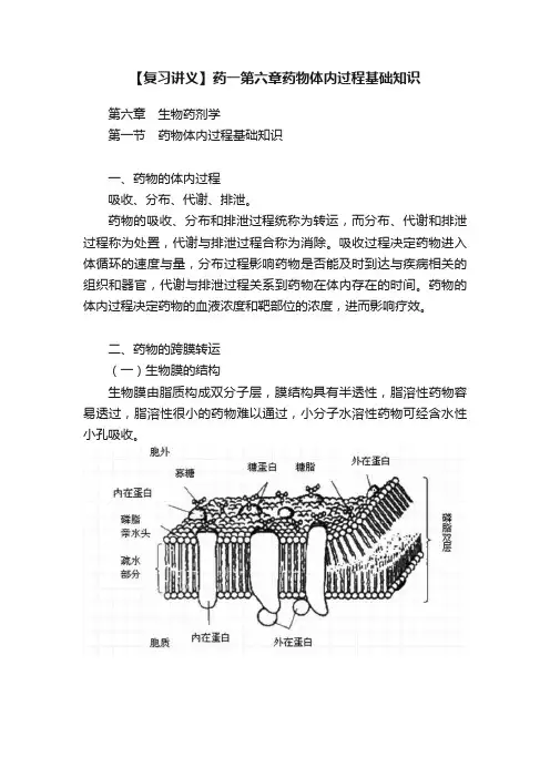 【复习讲义】药一第六章药物体内过程基础知识