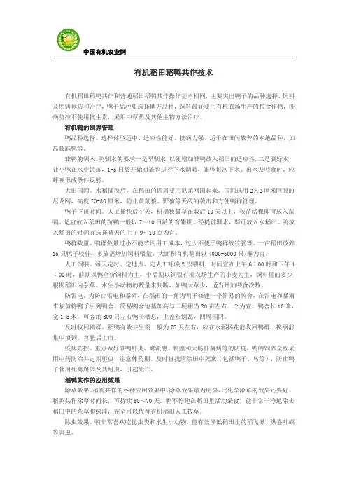 有机稻田稻鸭共作技术