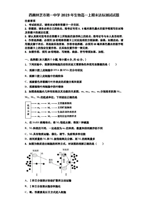 西藏林芝市第一中学2023年生物高一上期末达标测试试题含解析