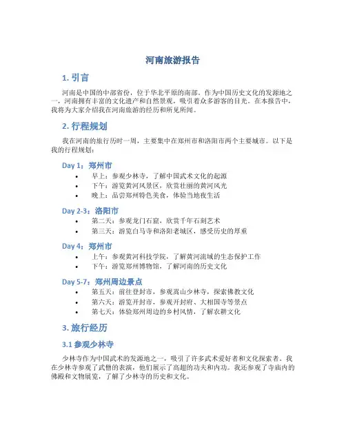 河南旅游报告