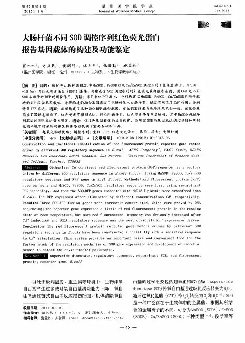大肠杆菌不同SOD调控序列红色荧光蛋白报告基因载体的构建及功能鉴定