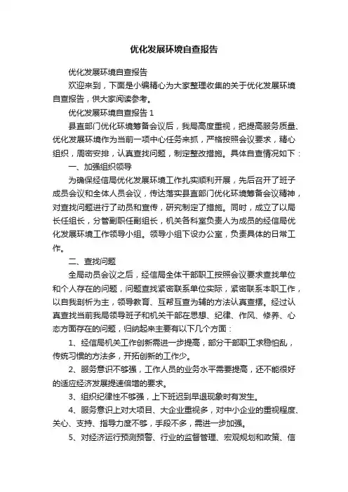优化发展环境自查报告