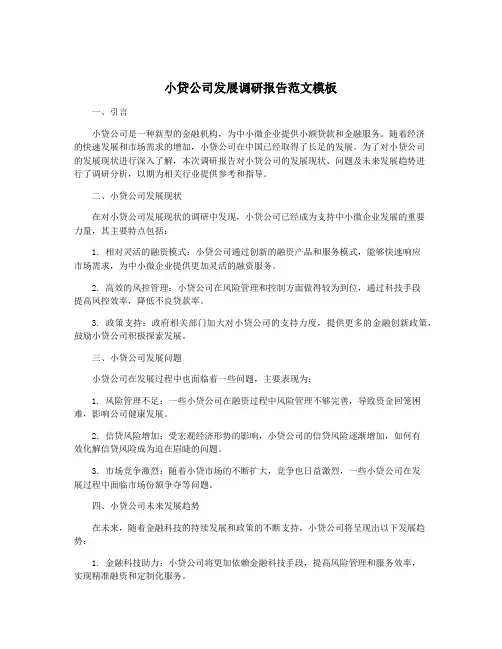 小贷公司发展调研报告范文模板