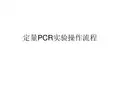 定量PCR实验操作流程
