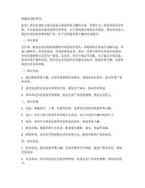 修建草莓大棚申请书模板