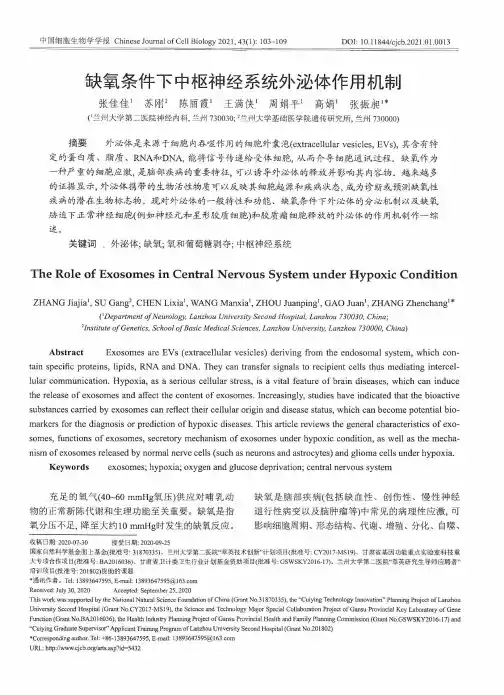 缺氧条件下中枢神经系统外泌体作用机制