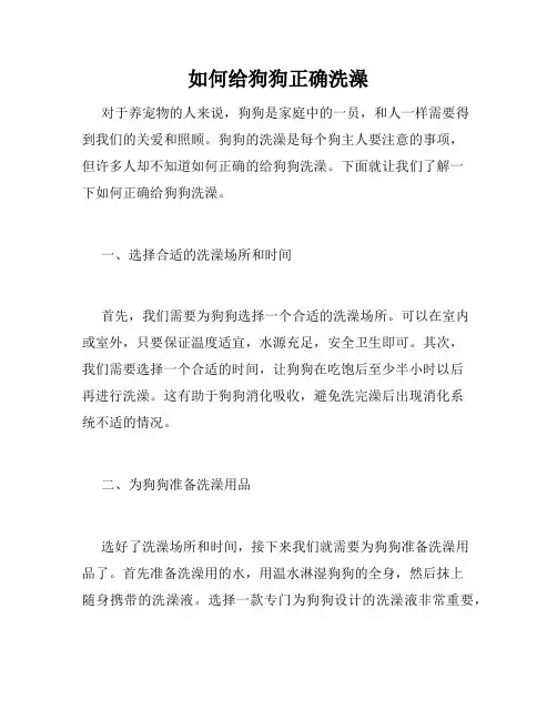 如何给狗狗正确洗澡