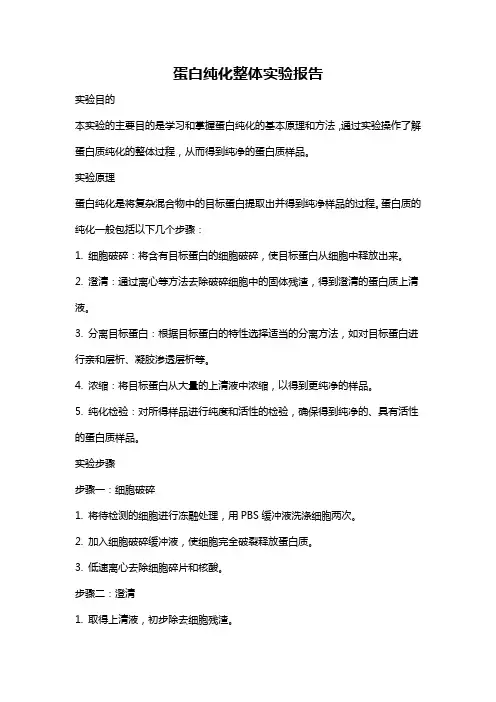 蛋白纯化整体实验报告