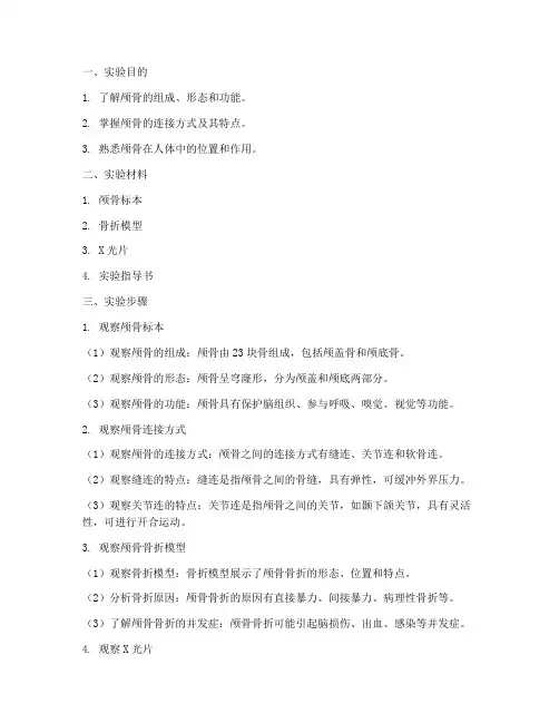 颅骨极其连接实验报告
