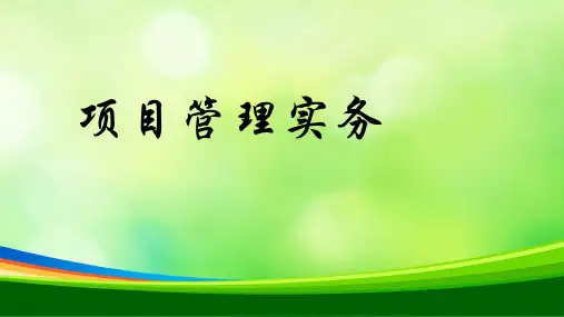 项目管理实务课件(PPT 117页)
