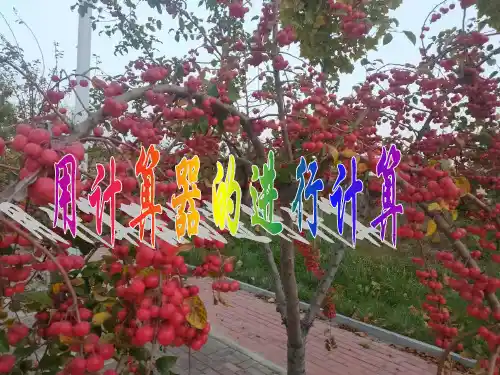 用计算器进行运算(共21张PPT)