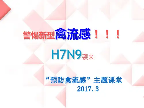 预防禽流感主题课堂 ppt课件