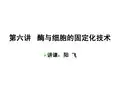 第六讲  酶与细胞的固定化技术