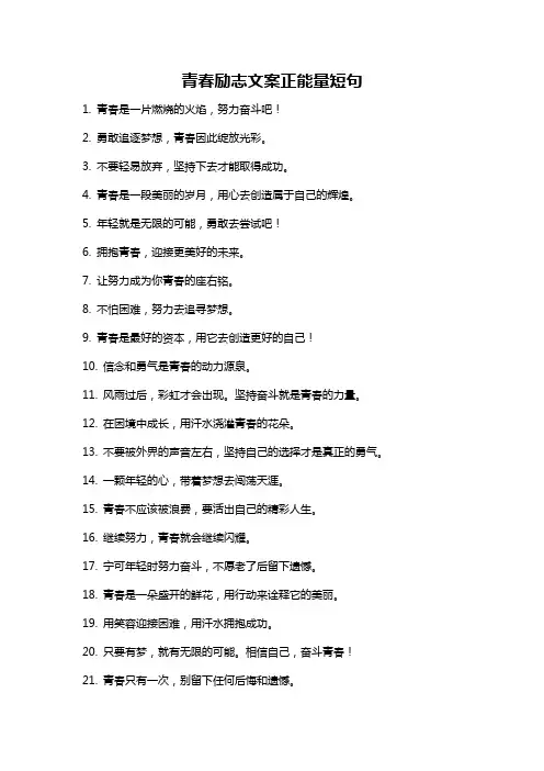 青春励志文案正能量短句