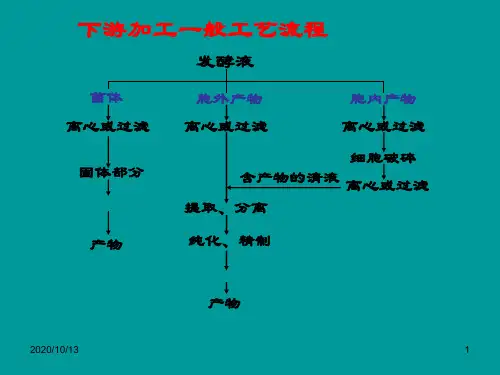 青霉素的纯化工艺PPT课件