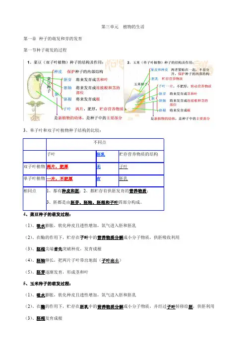 冀少版八年级上册 第三单元 植物的生活 知识点整理