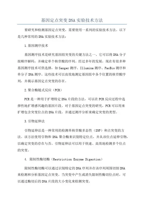 基因定点突变DNA实验技术方法