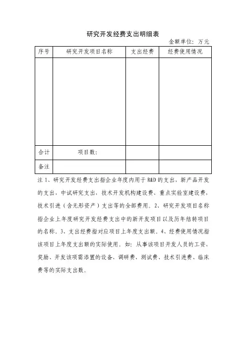 研究开发经费支出明细表