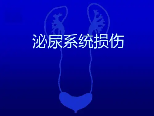 泌尿科泌尿系统损伤PPT课件