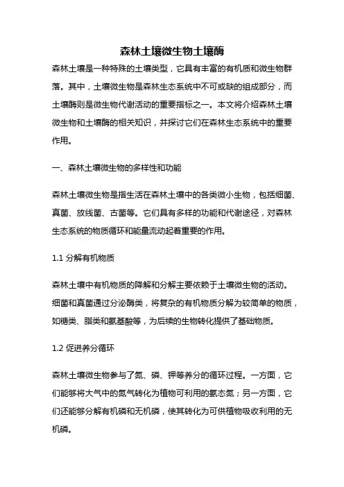 森林土壤微生物土壤酶