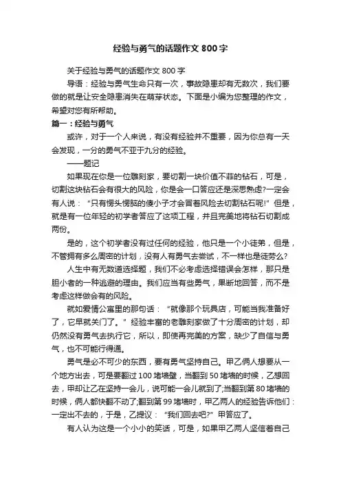 经验与勇气的话题作文800字