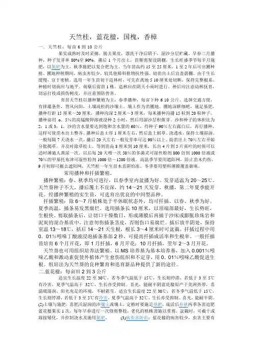 天竺桂