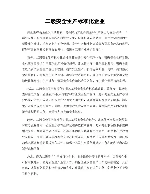 二级安全生产标准化企业